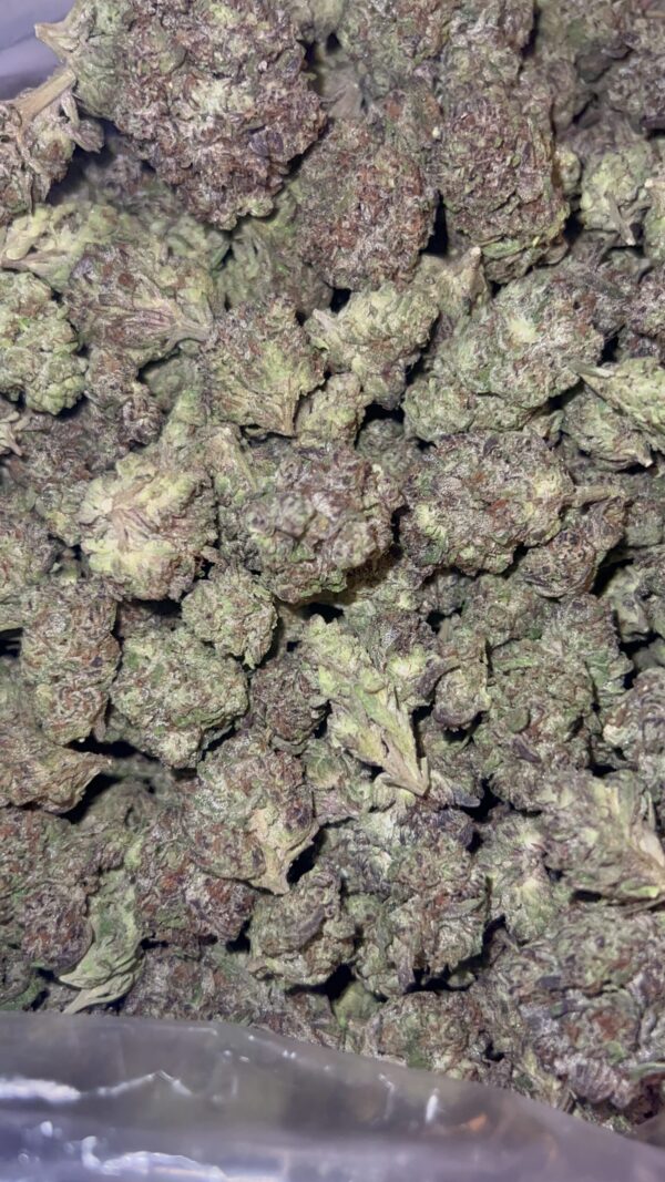 Dying Breeds Zkittlez