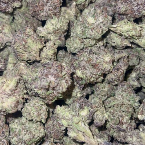 Dying Breeds Zkittlez