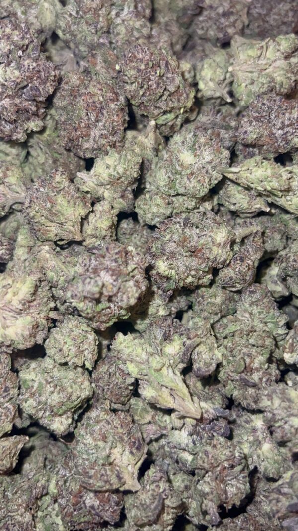 Dying Breeds Zkittlez