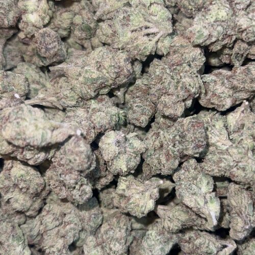 Pink Passion
