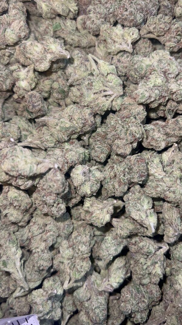 Pink Passion