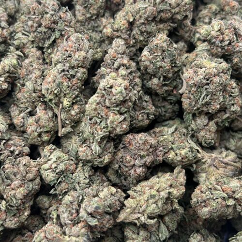 Gelato