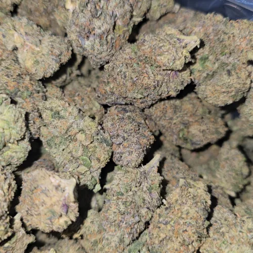 Sherbacio x Kush Sorbet x Vanilla Sorbet LB