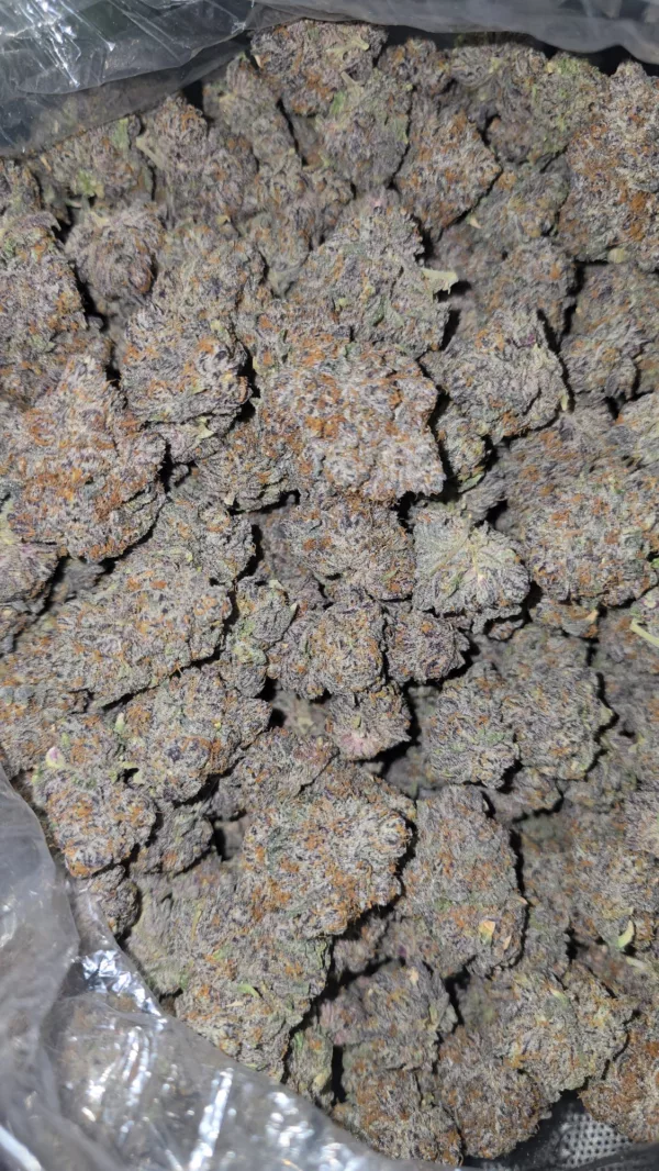 Blue Pave 1 LB - Image 6