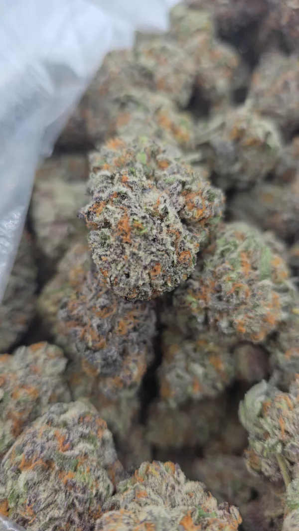 Pixie Stix 1/4 LB