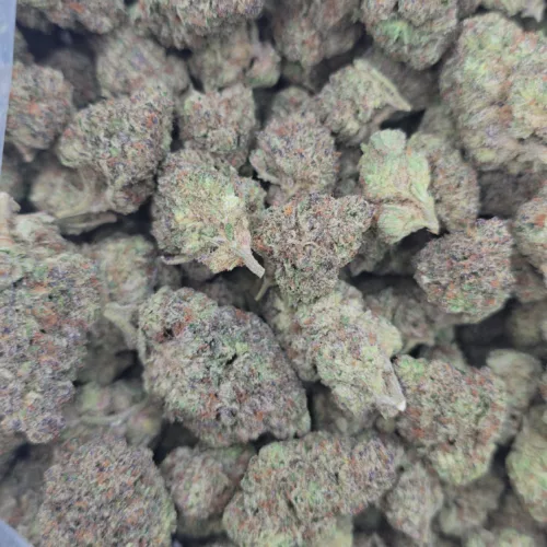Space Krypto 1 LB