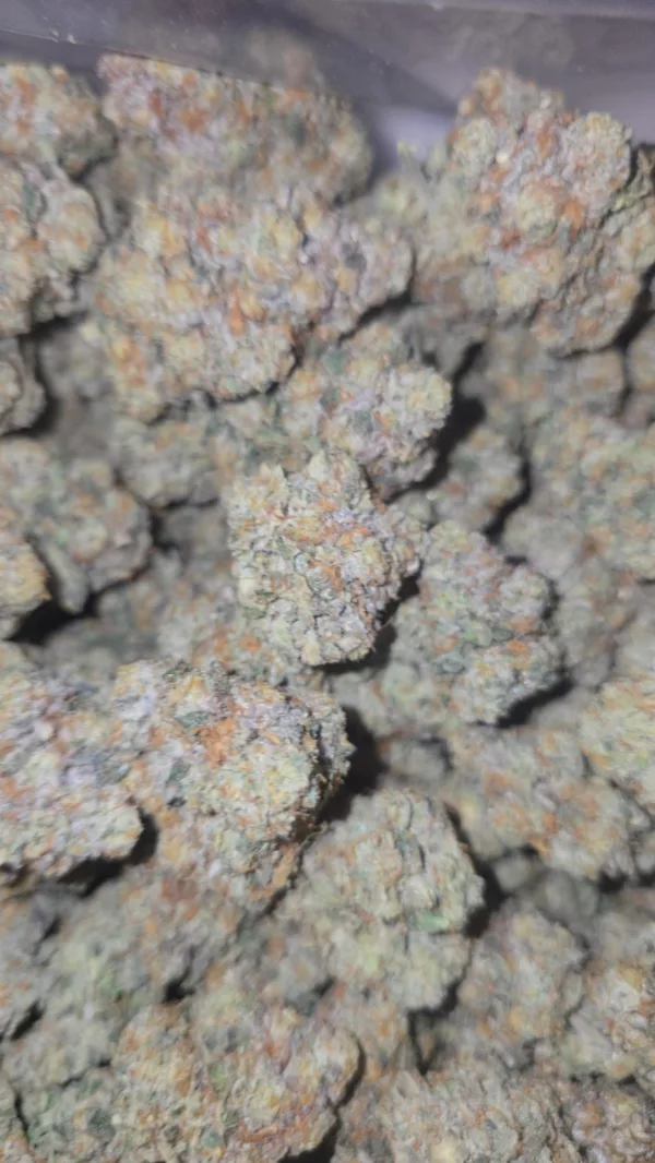 Wild Biscotti 1/4 LB - Image 3