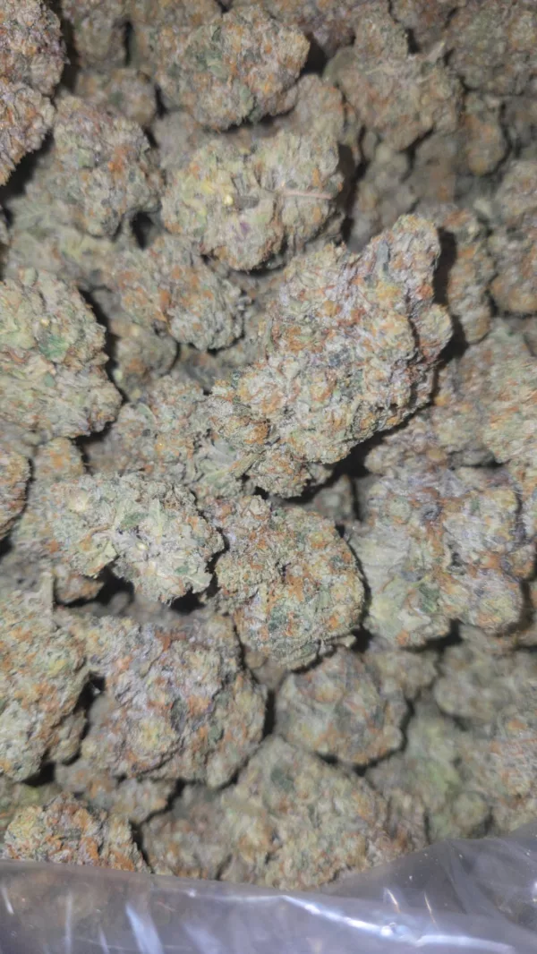 Wild Biscotti 1/4 LB