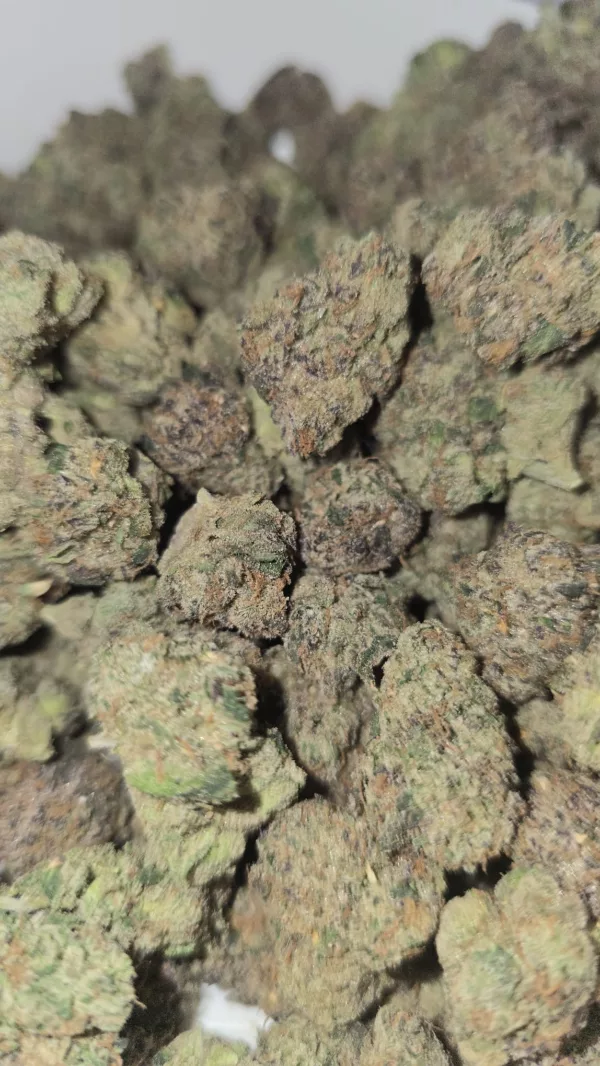 Zonuts 1/4 LB