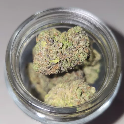Watson Supply Co - ZSC 1/4 OZ Premium Flower