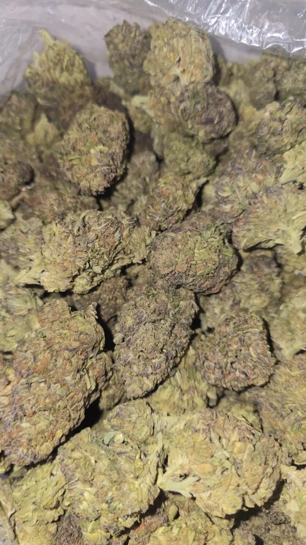 Carbon Fiber Cannabis Strain