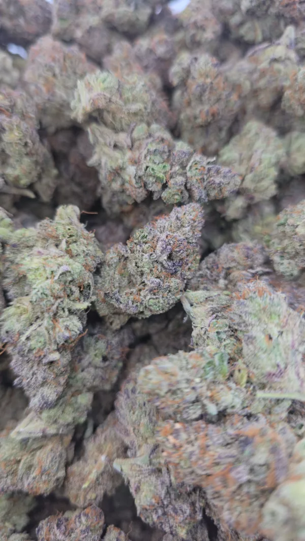 Plantain 1/4 - Image 7