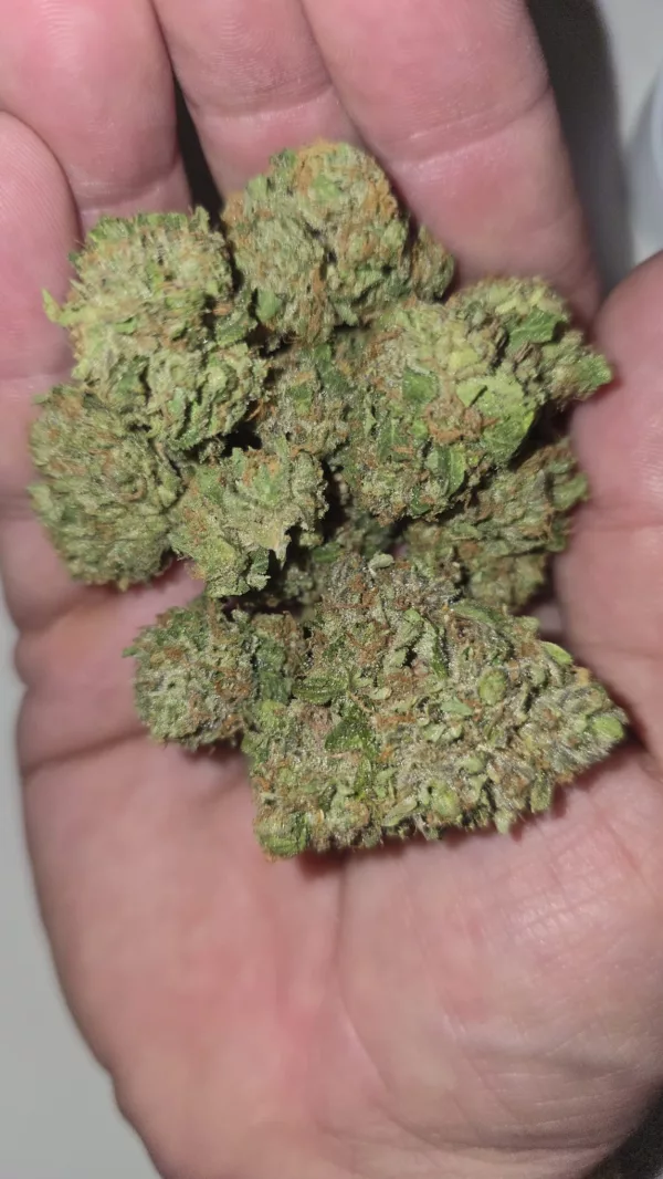 Watson Supply Co - Roy•G•Biv 1/4 OZ - Image 2
