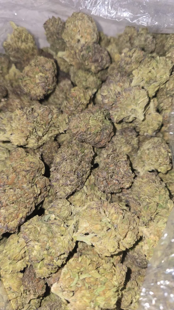 Carbon Fiber Cannabis Strain