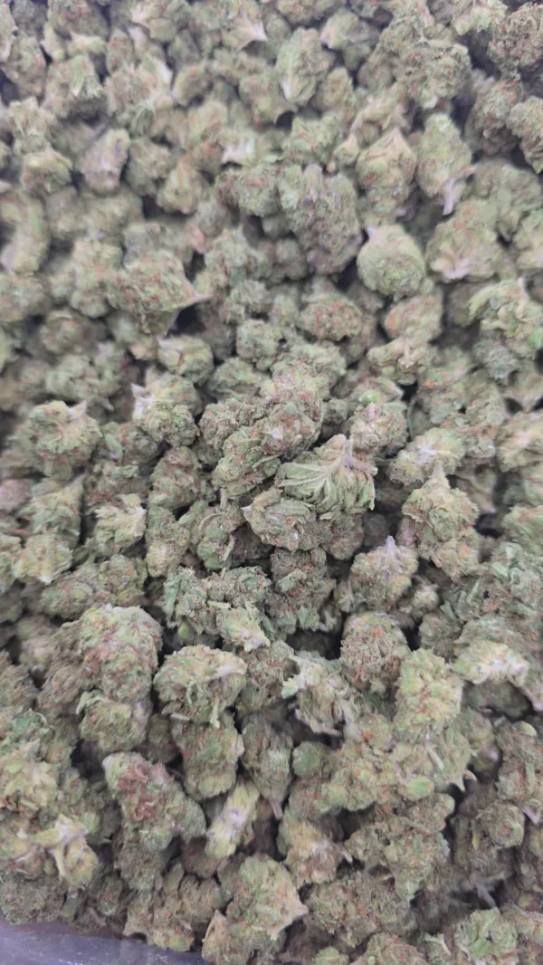 Biscotti Triangle Cannabis Strain