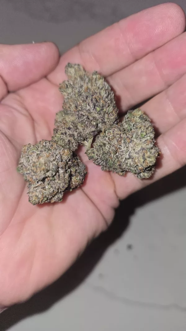 Watson Supply Co - Blue Hawaiian 1/4 OZ - Image 2