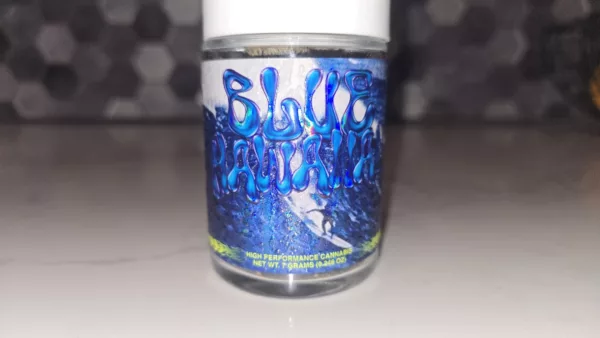 Watson Supply Co - Blue Hawaiian 1/4 OZ - Image 3