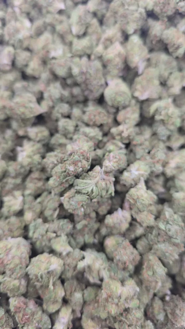 Biscotti Triangle Cannabis Strain
