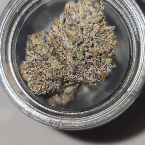 Watson Supply Co - Blue Hawaiian 1/4 OZ