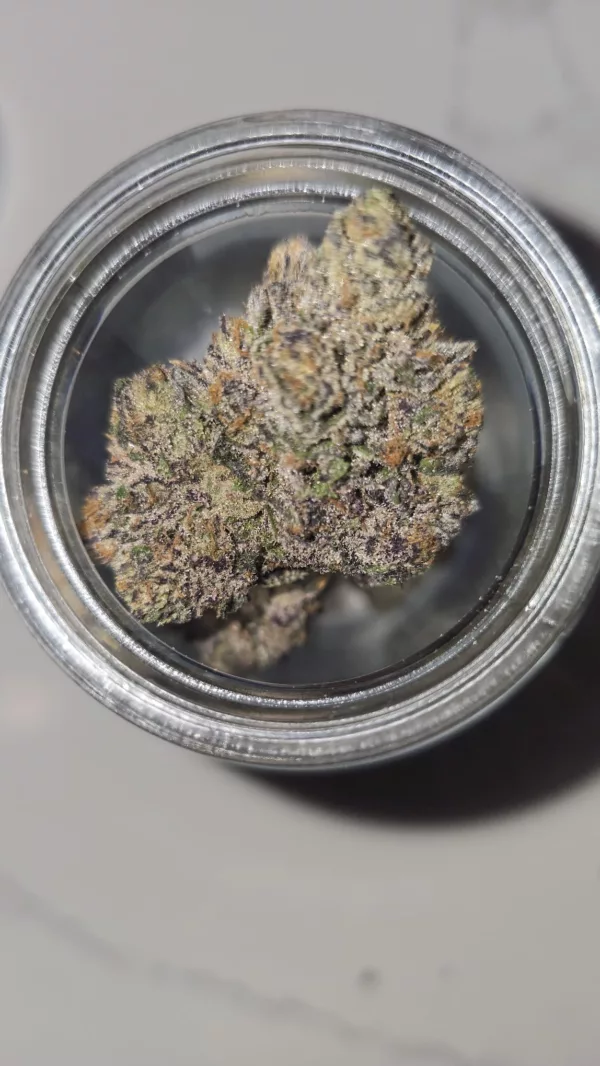 Watson Supply Co - Blue Hawaiian 1/4 OZ