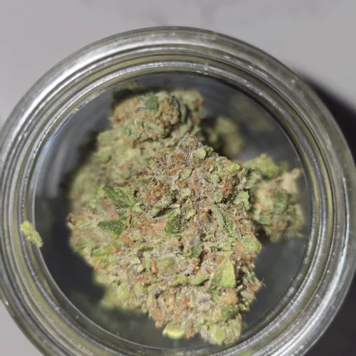 Watson Supply Co - Roy•G•Biv 1/4 OZ