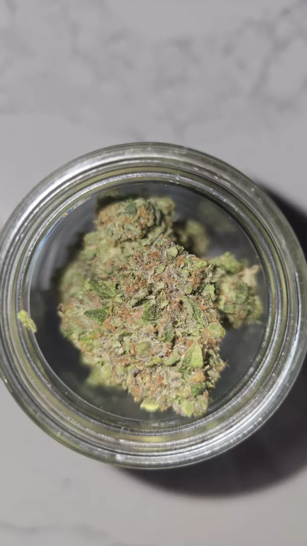 Watson Supply Co - Roy•G•Biv 1/4 OZ