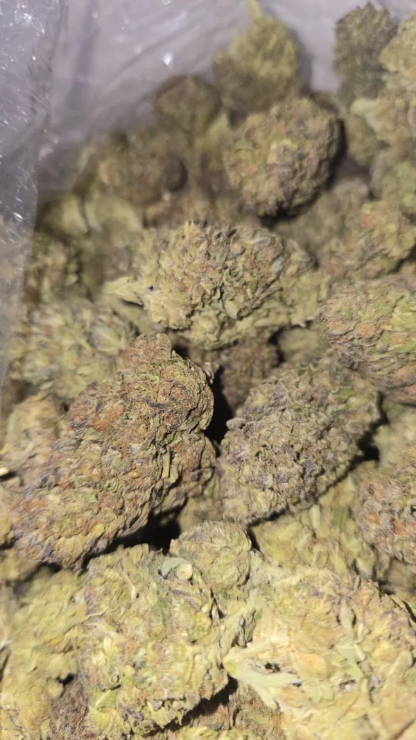 Carbon Fiber Cannabis Strain