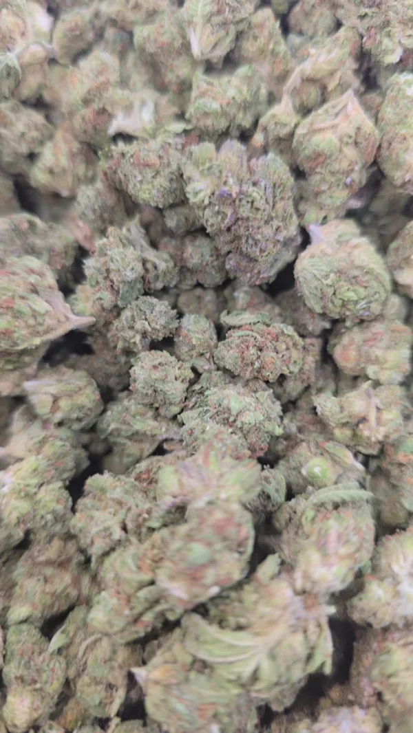 Biscotti Triangle Cannabis Strain
