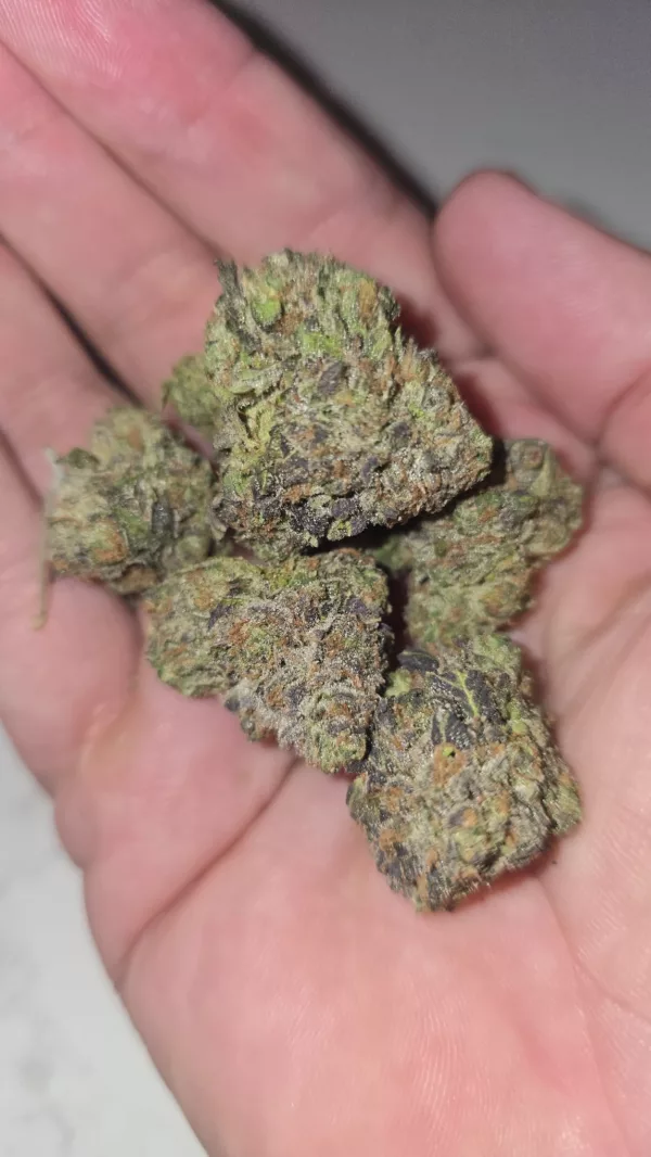 Watson Supply Co - ZSC 1/4 OZ Premium Flower - Image 2