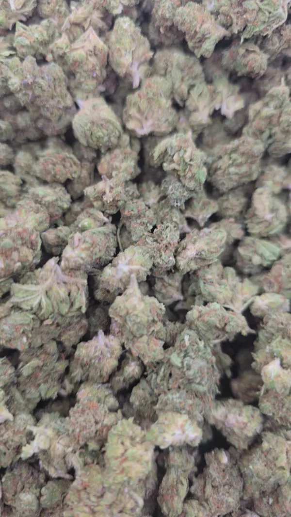 Biscotti Triangle Cannabis Strain