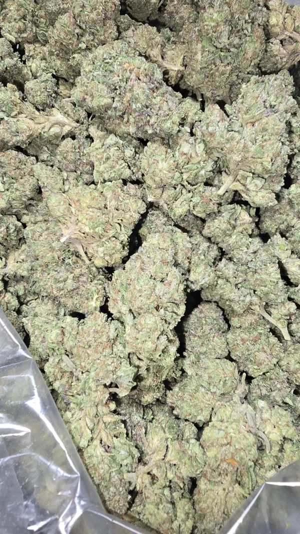 Open bag of Mochi Gelato flower packed with vibrant, dense cannabis buds