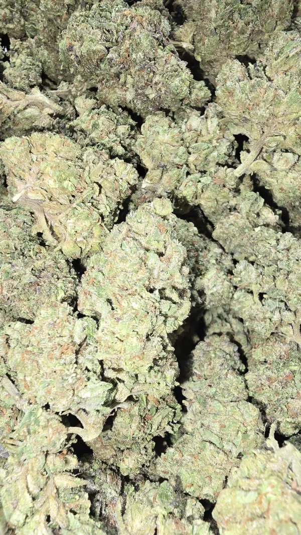 Bulk shot of Mochi Gelato cannabis flower showing light green buds and frosty trichomes