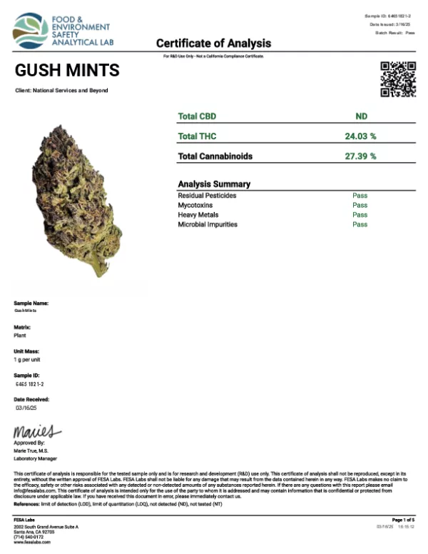 Gush Mints 1 LB - Image 3