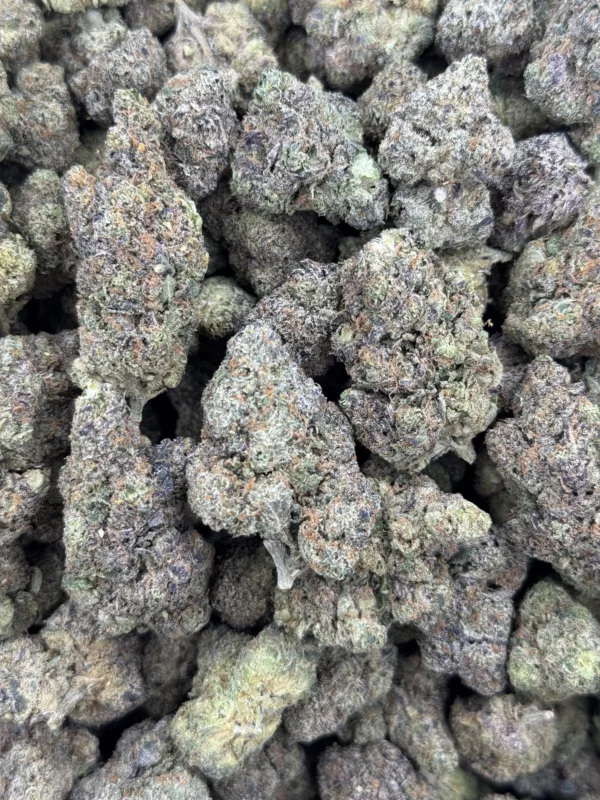 Gelato 33 Strain