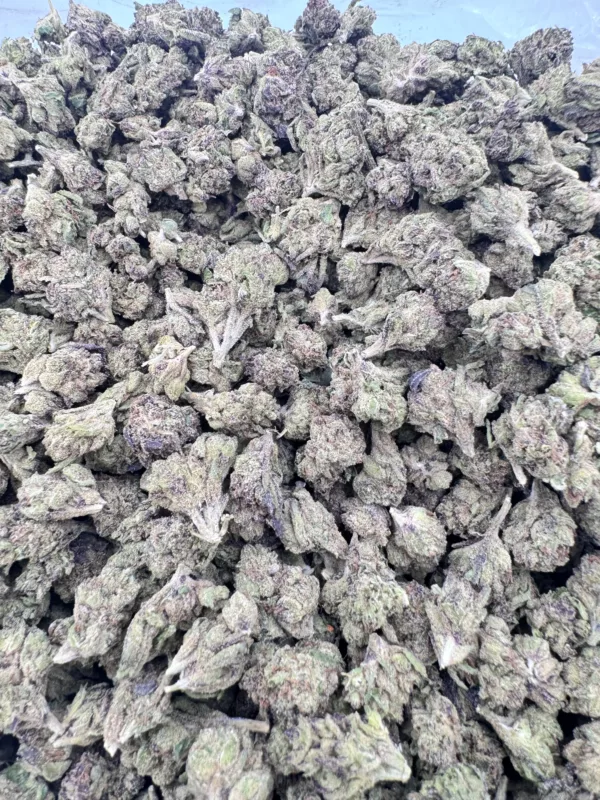 Black Runtz Smalls 1 LB - Image 2