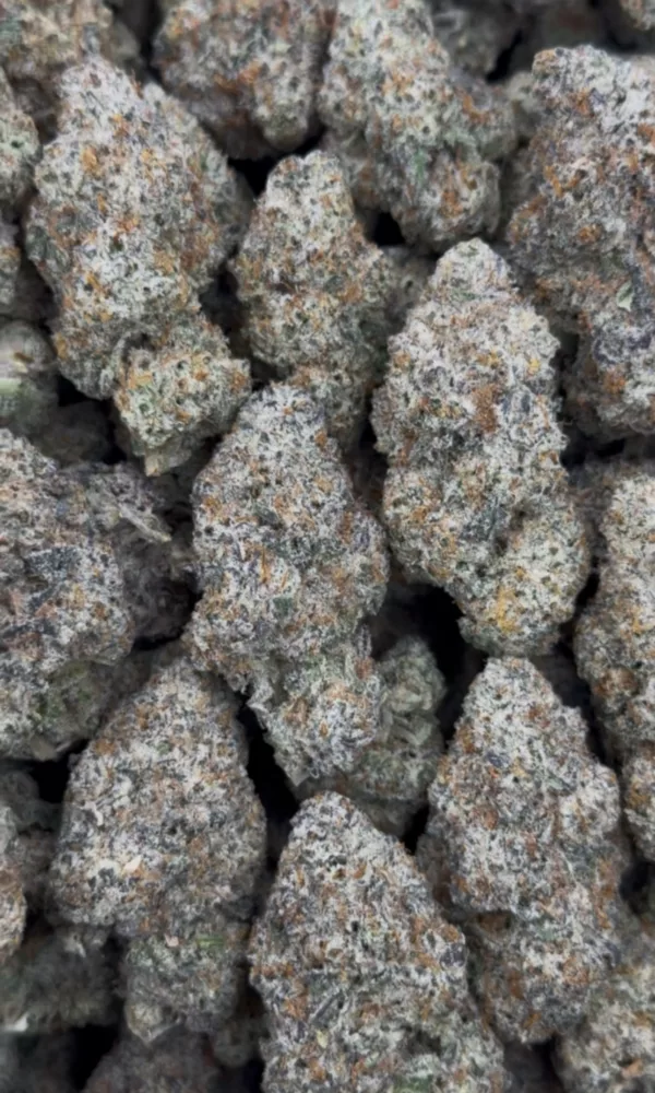 Zookies Cannabis Strain
