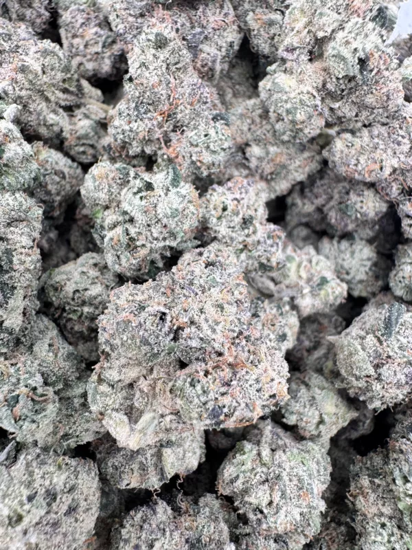 Candy Truffles cannabis nugs with bright trichomes and bold coloration from its gelato lineage