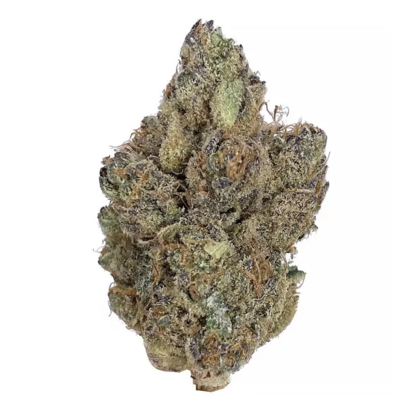 tropical Runtz Cannabis Strain